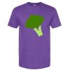 Unisex Softstyle® CVC T-Shirt Thumbnail