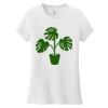 Women's Very Important Tee ® Thumbnail